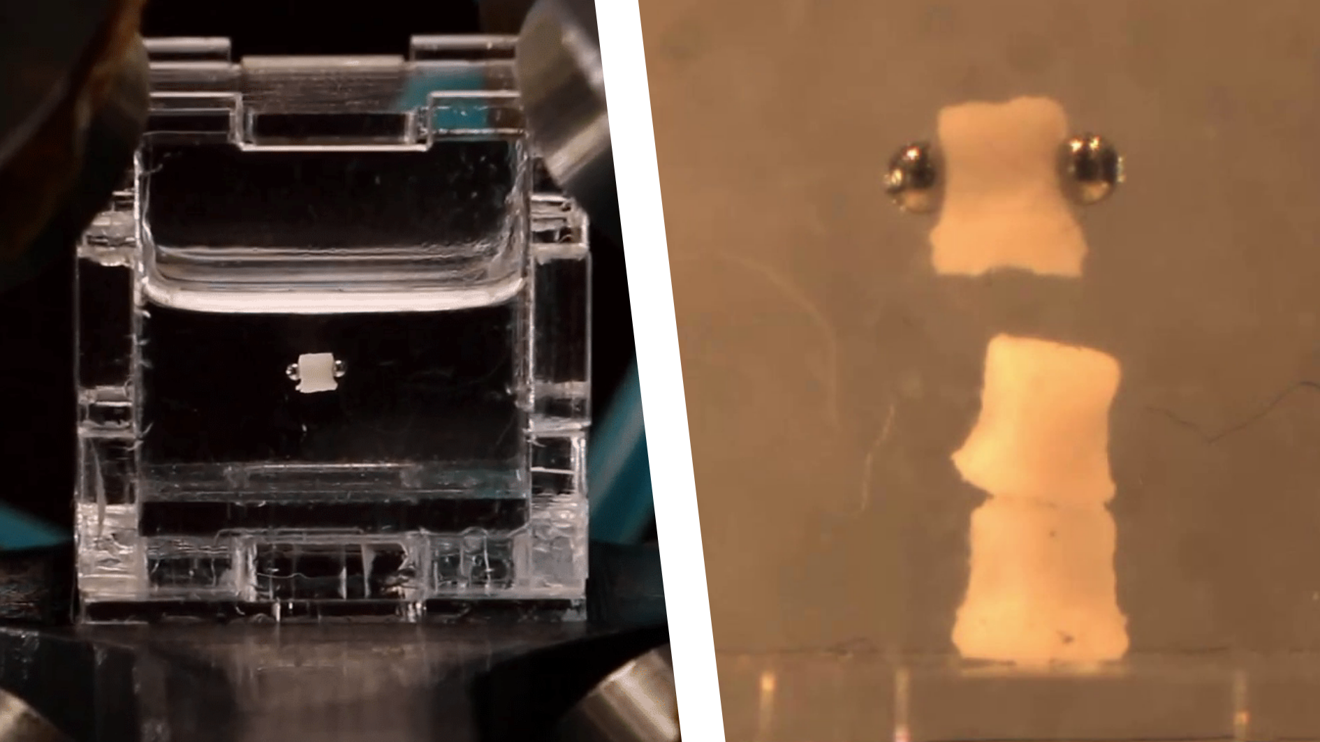 Collective (micro)robotics image