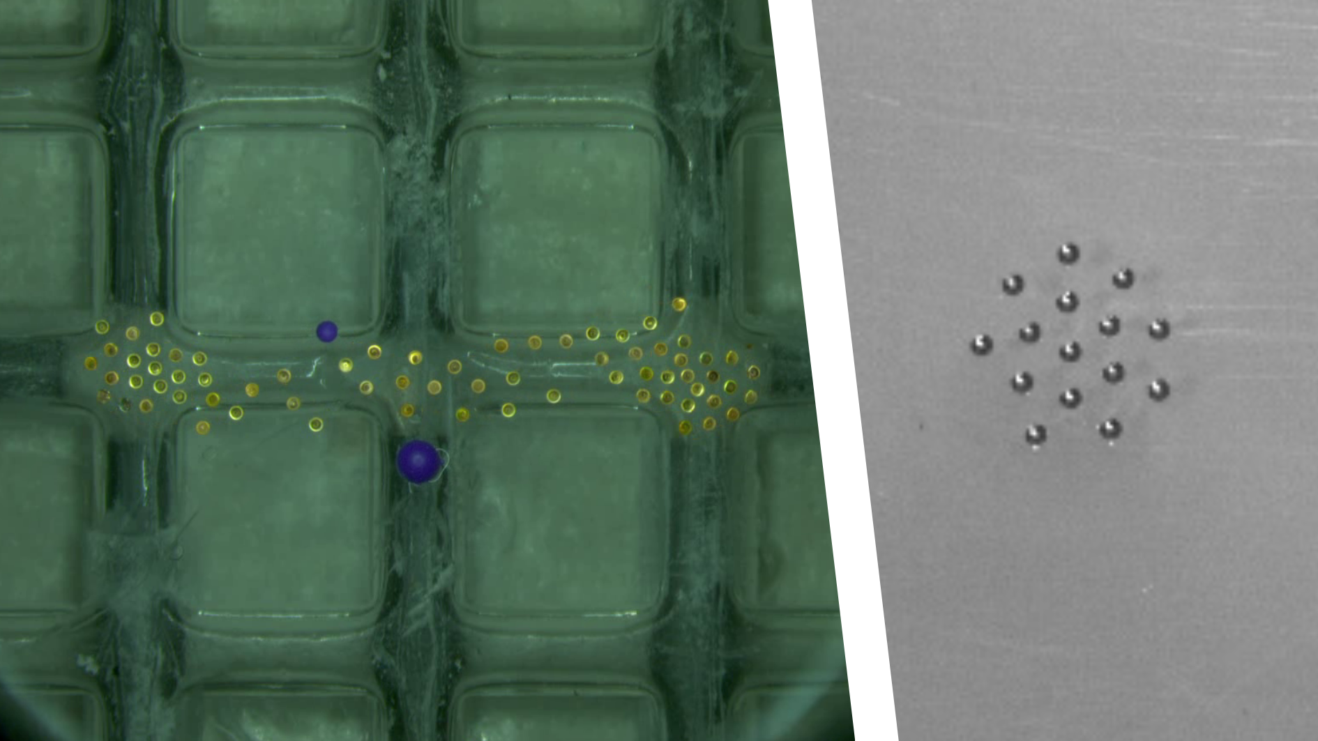 Magneto-capillary systems image